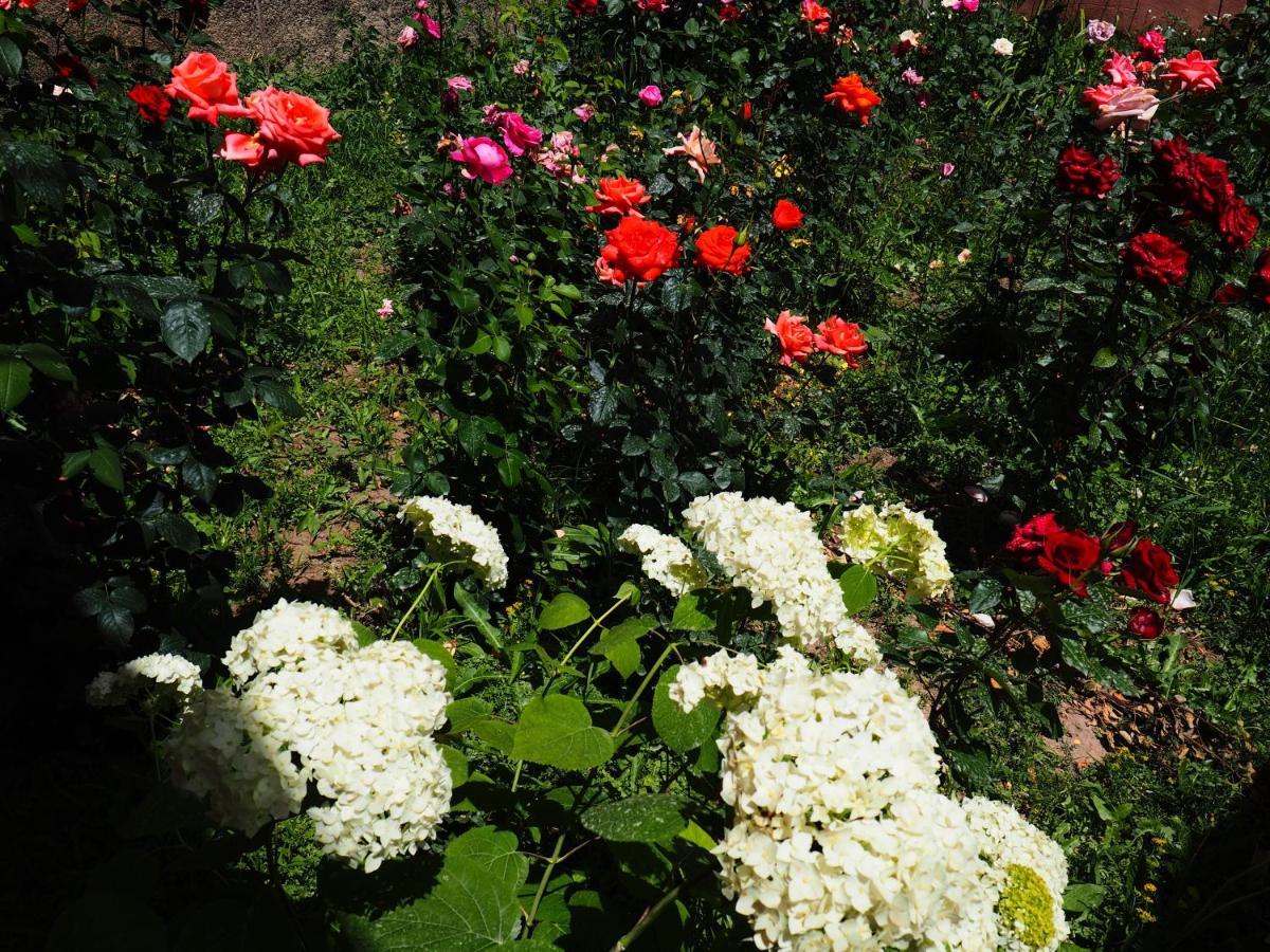 Baktygul Guesthouse Naryn Exterior foto